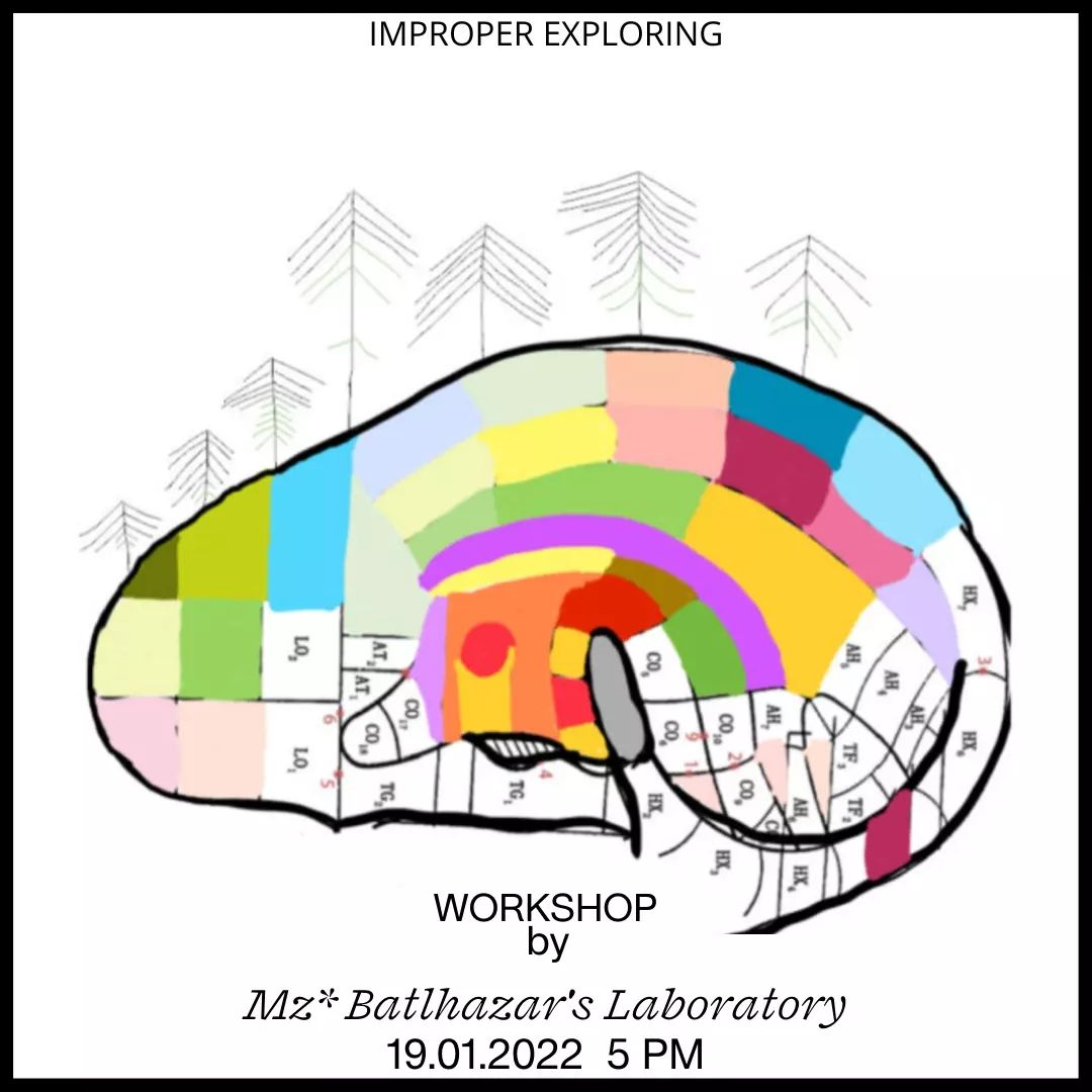 19.01.2022-IMPROPER EXPLORINGWORKSHOP: Fair Acupun