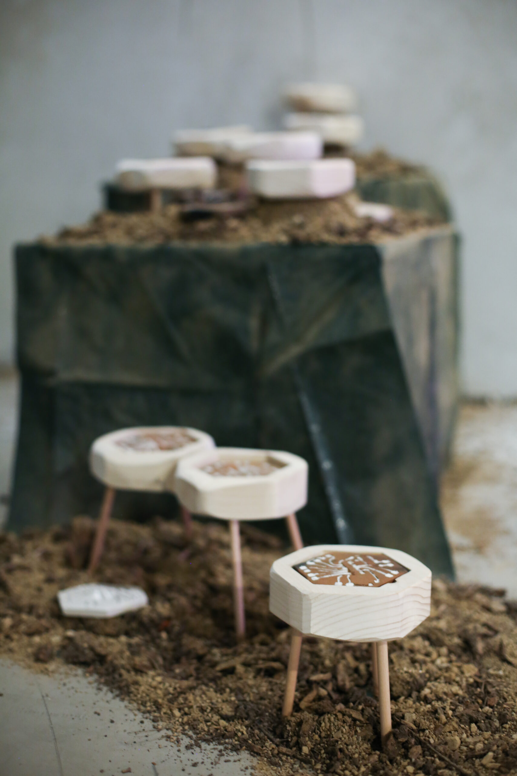 Exhibition PIRATE CULTURES: Unter dem Asphalt der Strand Semmelweisklinik, Vienna, Austria photo © ola queen, Daphne von Schrader & Joanna Coleman